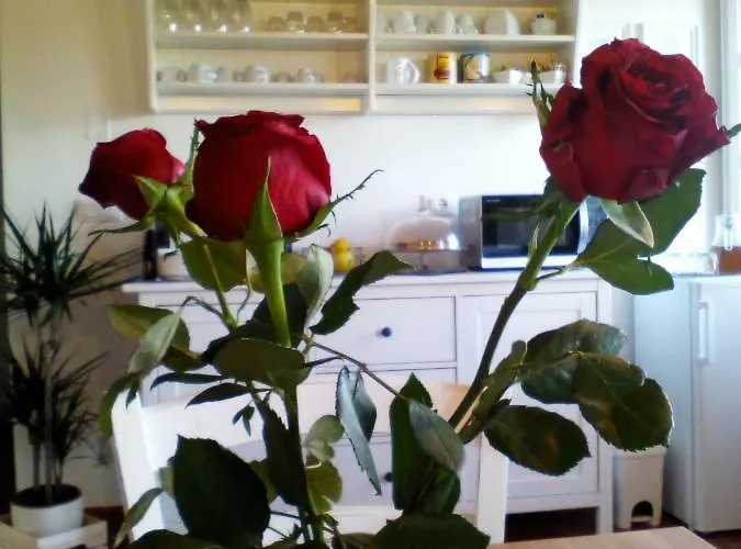 Dimora San Lazzaro B&B Lucca